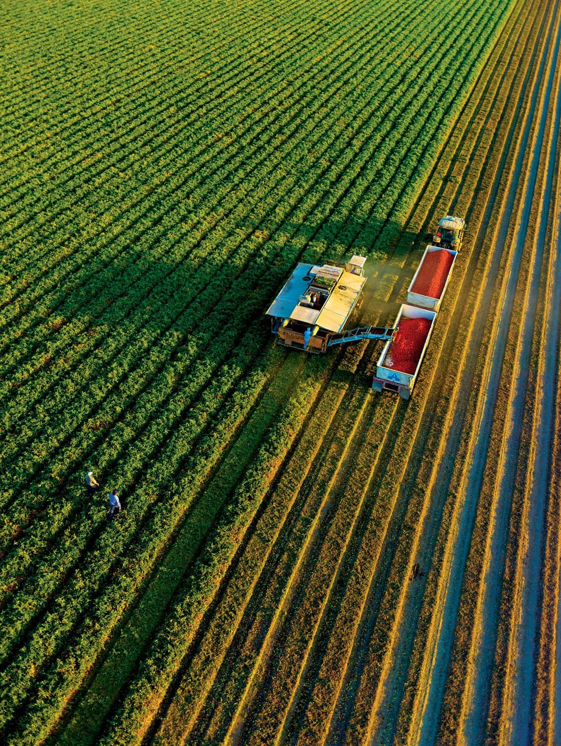 agriculture and farmer welfare