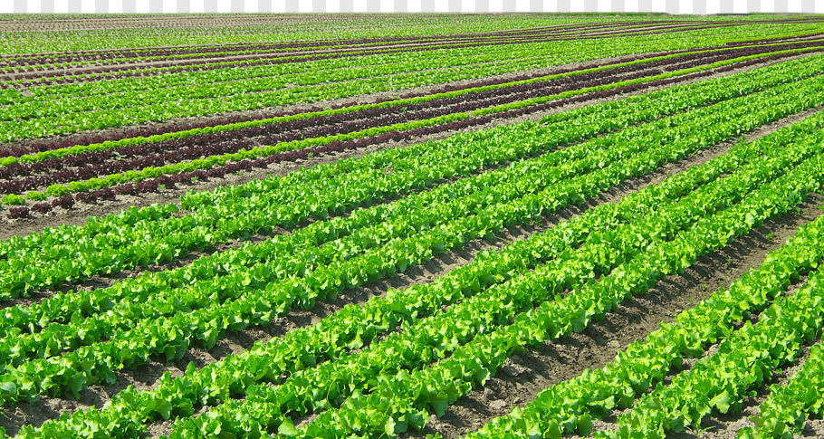 agriculture machineries in india