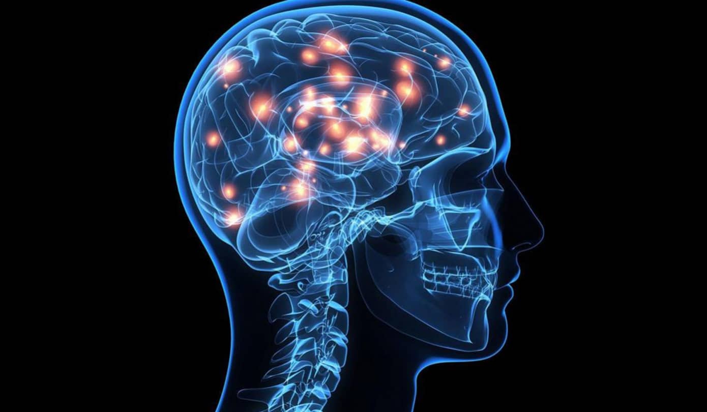 cognitive neuro science