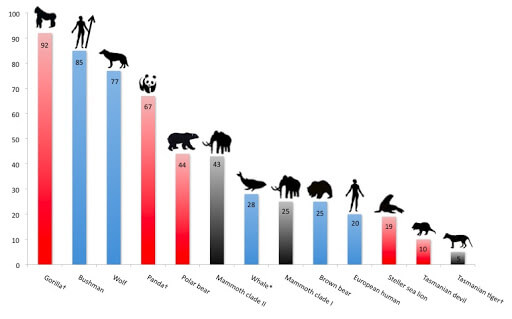 endangered species in India animals