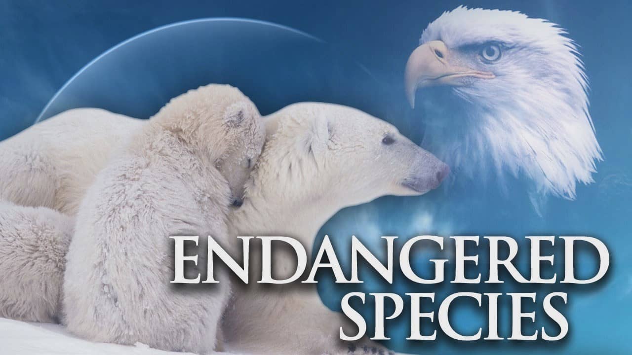 endangered species in India