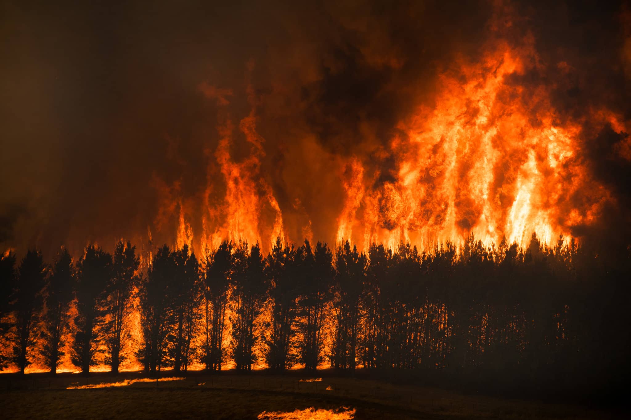 essay for climate change