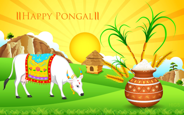 pongal-festival