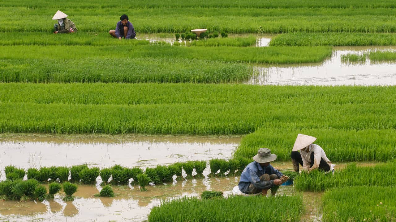 sustainability in agriculture