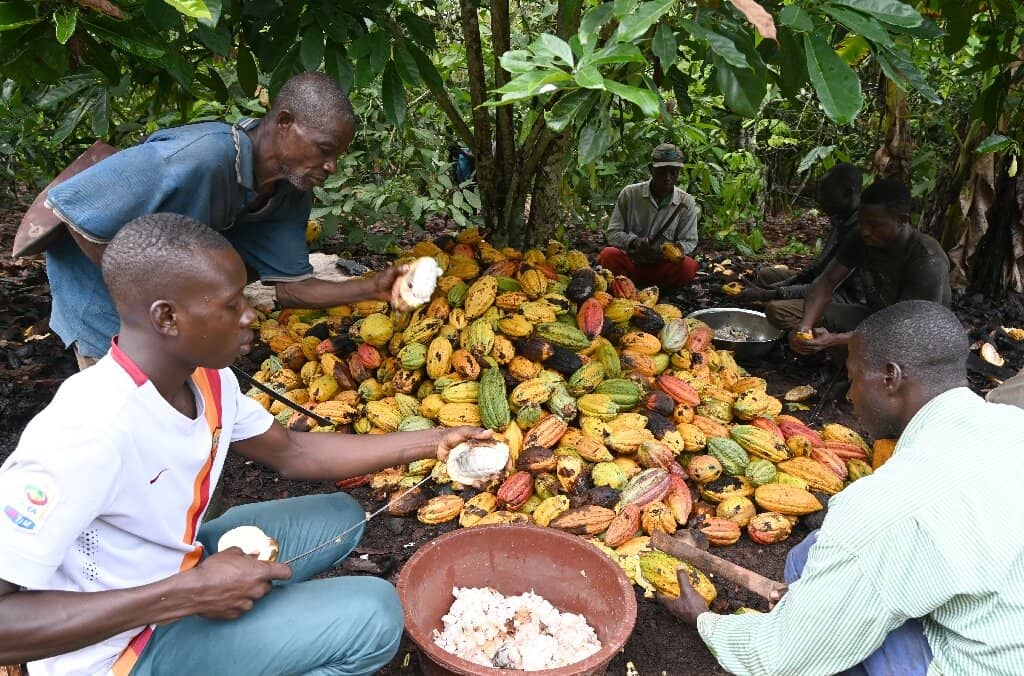 types of agriculture practices